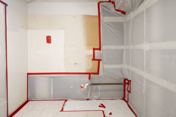 Best Commercial Mold Inspection  in Noroton, CT