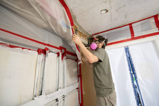 Best Post-Construction Mold Inspection  in Noroton, CT