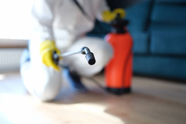 Best Mold Remediation for Rental Properties  in Noroton, CT