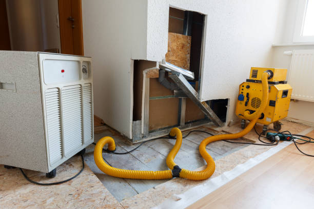Mold Removal for HVAC Installations in Noroton, CT