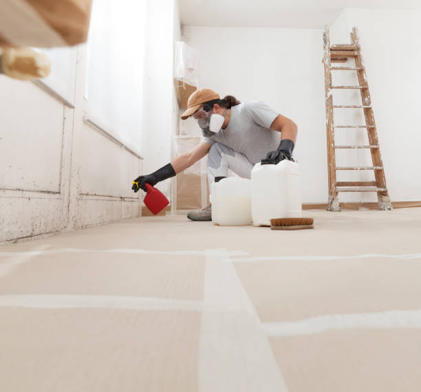 Best Dehumidification Services  in Noroton, CT