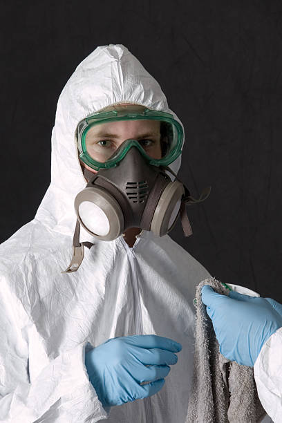 Best Industrial Mold Remediation  in Noroton, CT